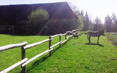 Clôtures en châtaignier, cales de châtaignier Saint-Yrieix-la-Perche